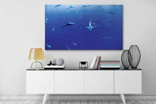 Tableau bleu Danse des requins