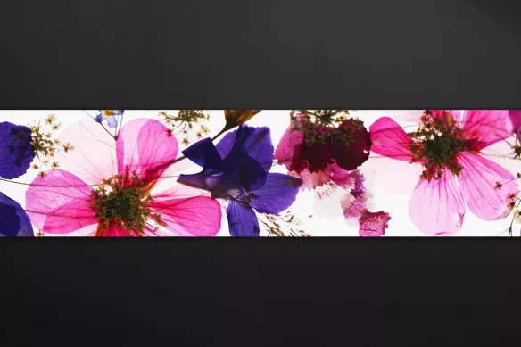 Crédence cuisine fleurs séchées