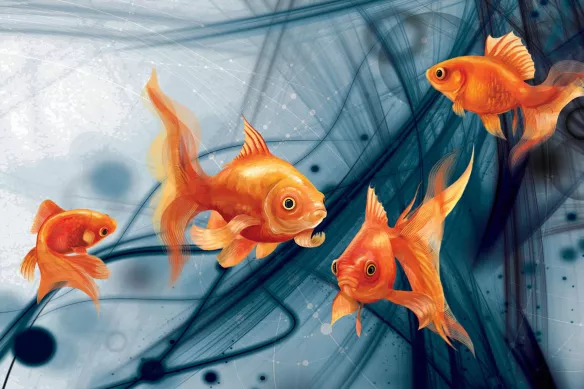 tableau poissons rouges abstrait