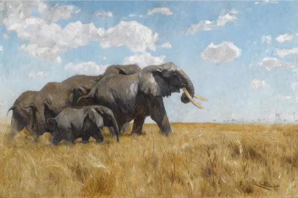 toile imprimée troupe éléphants