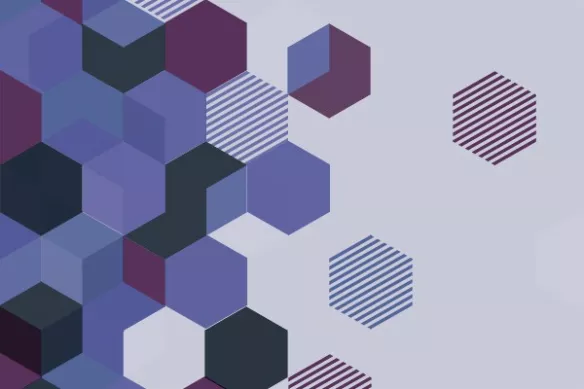 tapisserie design violet chapi chapo