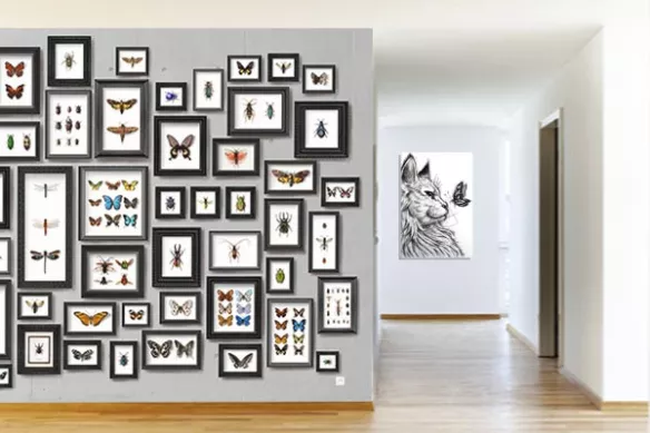 Tapisserie couloir Collection de Papillons