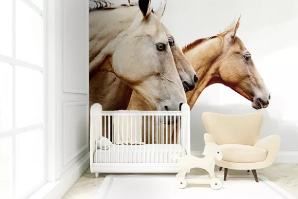 Papier peint chambre Troupe de chevaux