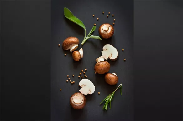 déco murale cuisine champignons de paris bruns