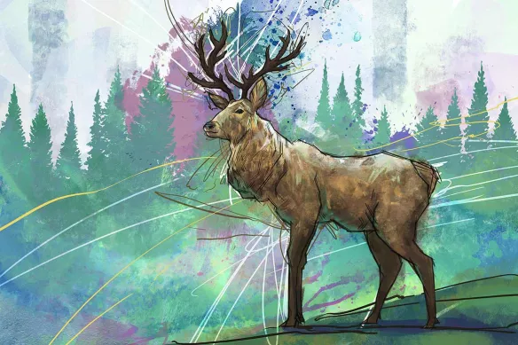 toile-cerf-dans-la-foret-vert