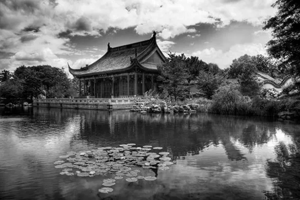 Papier peint panoramique noir et blanc Jardin Chinois
