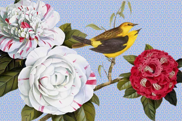 tableau décoration salon fleurs et oiseaux