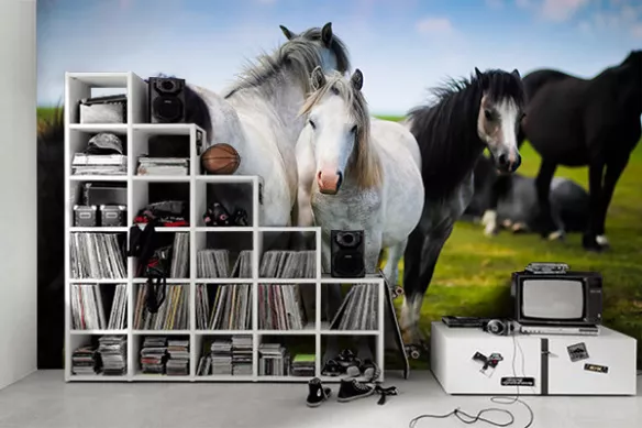 Papier peint chambre Jeunes Chevaux sauvages
