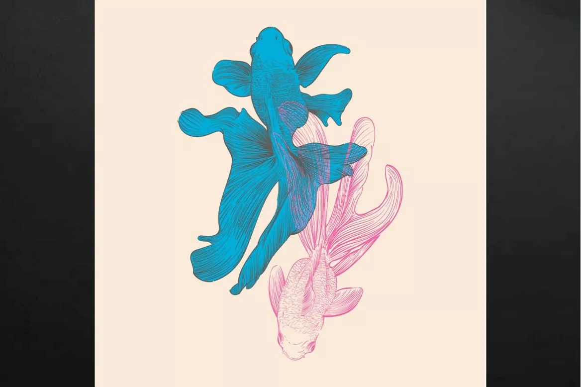 cadre-pour-salon-poissons-colorés