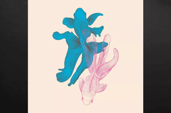 tableau-poisson-colore