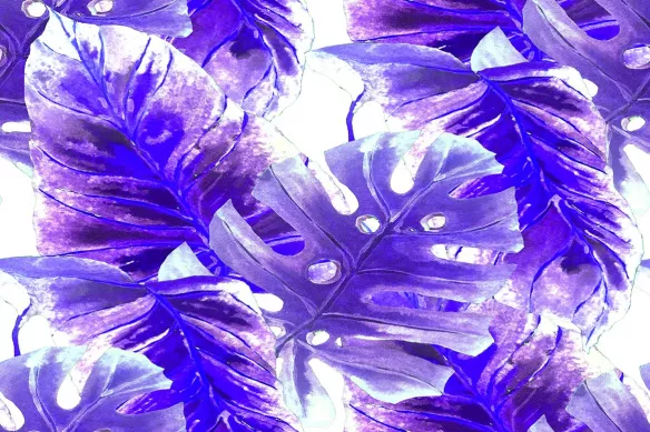 tableau-toile-feuillage-ultraviolet