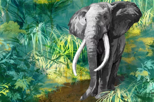 tableau-éléphant-balade-gris