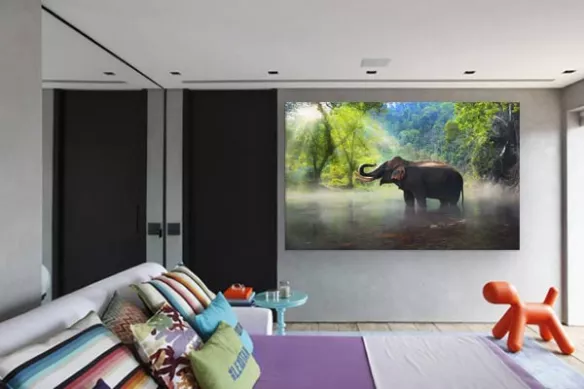 tableau-tropical-éléphant-dans-la-jungle