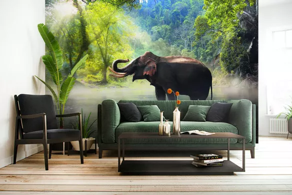 papier-peint-jungle-éléphant