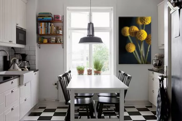 tableau-photo-fleur-de-tanaisie