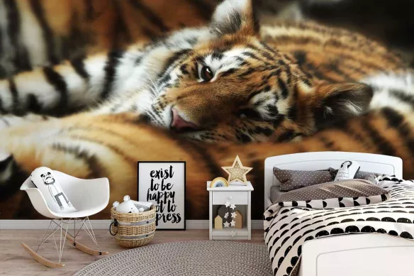 Papier peint animaux Sieste du Tigre