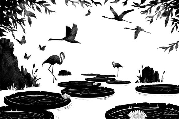 Papier peint noir et blanc Nénuphars et Flamants