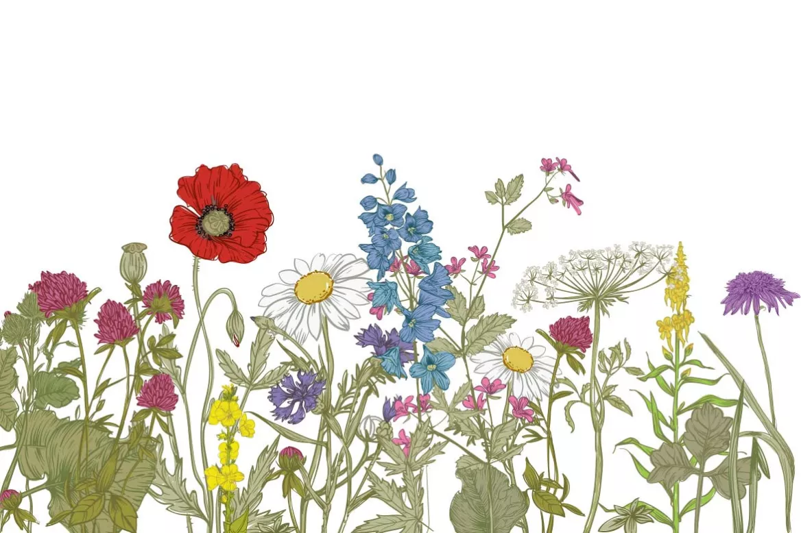 Tableau de fleurs Champ printanier