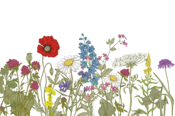 tableau-nature-champ-printanier