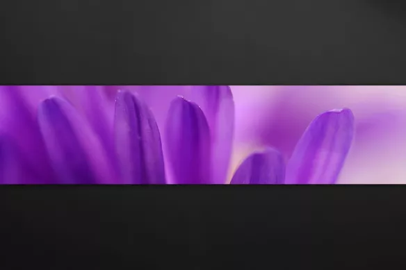 Crédence cuisine Pétale violette