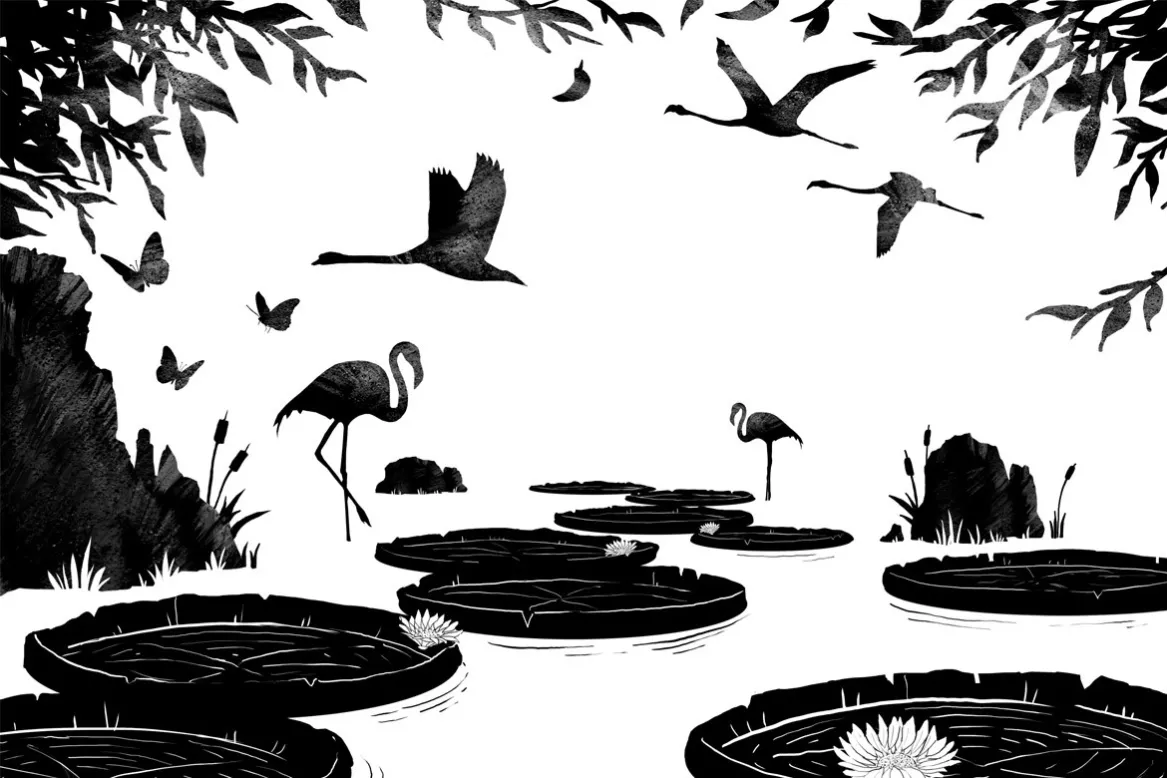 Tableau noir et blanc nénuphars et Flamants