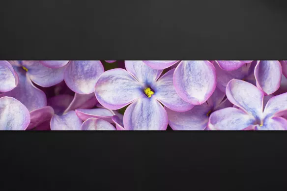 Crédence cuisine moderne Lilas