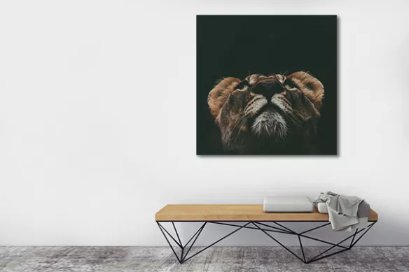 Tableau lion à l’affut