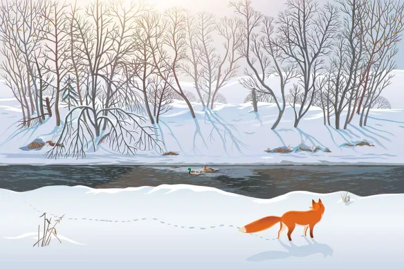 Papier peint forêt Renard et Rivière