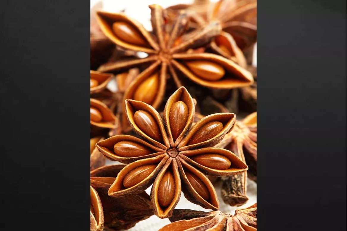 Tableau déco cuisine Badiane