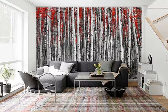 Papier peint forêt Rang de bouleau : tapisserie arbre panoramique