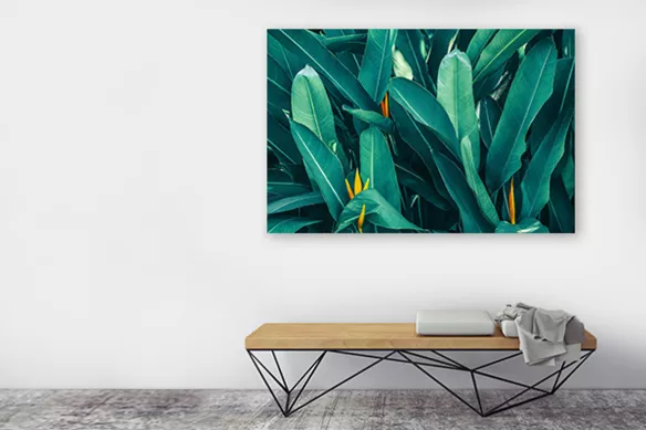 Tableau nature feuilles fleurs de paradis : déco tropicale