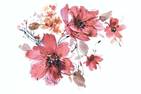 Tableau fleur Chicorée sauvage aquarelle : toile imprimée rouge