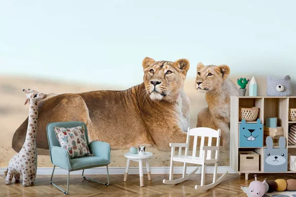 Papier peint chambre enfant Lionnes : tapisserie sur mesure animaux