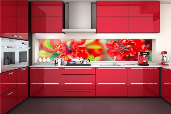 Décoration mur cuisine crédence rouge doux reveil
