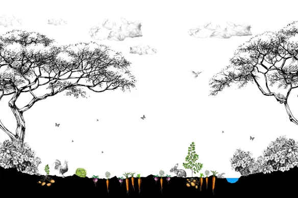 tableau toile jardin potager