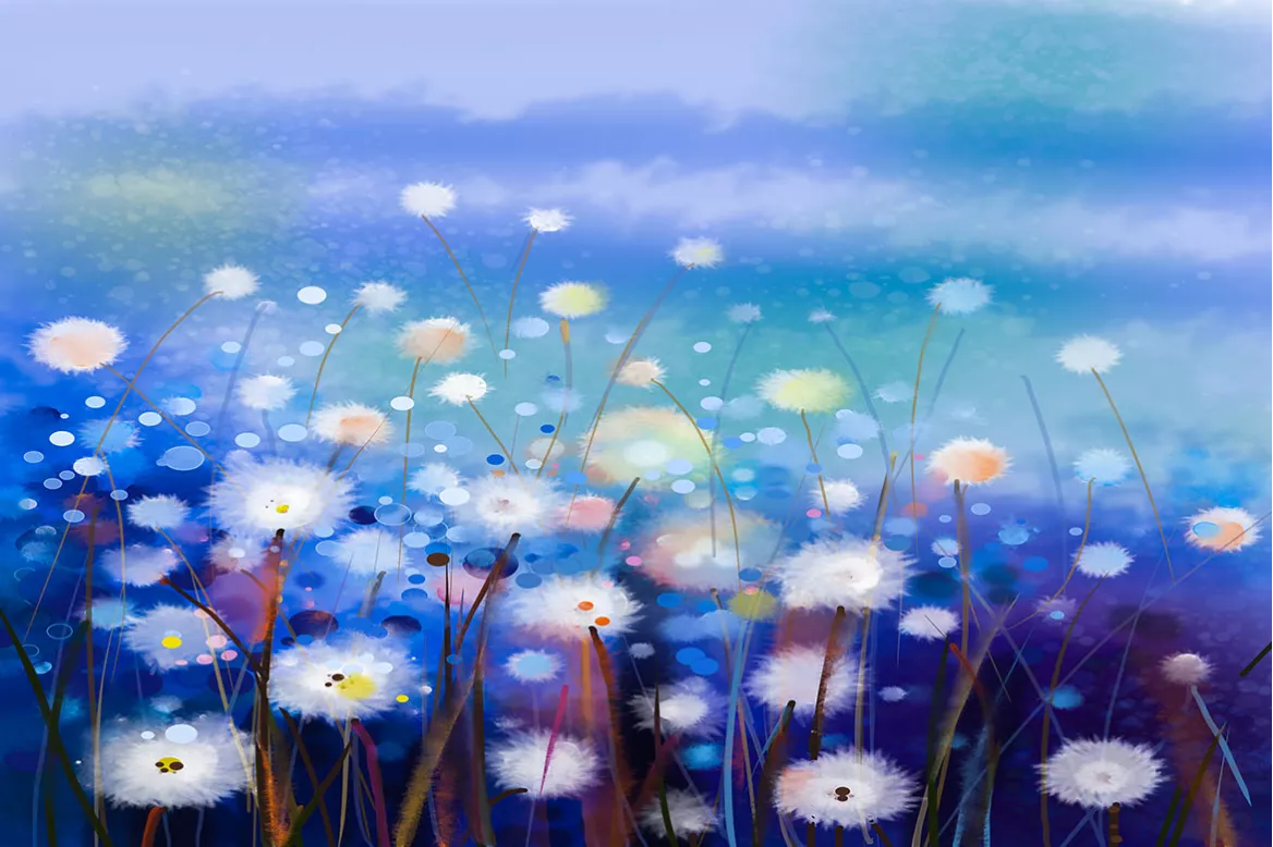 tableau-chambre champ de fleurs blanches