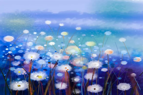 tableau fleur-champ-fleurs-blanches