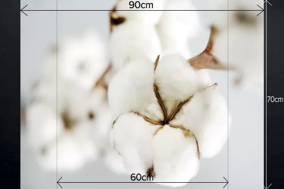 fond-de-hotte-fleur-coton