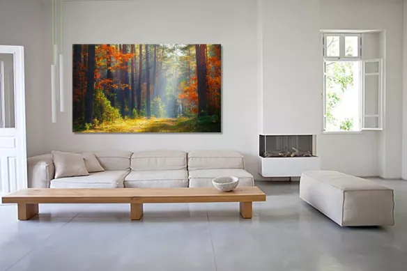 Tableau-foret-ressourçante