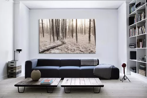 tableau-paysage-givré