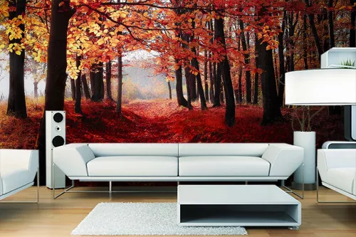 papier-peint-mural-rose