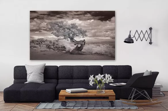 tableau-design-suiseki