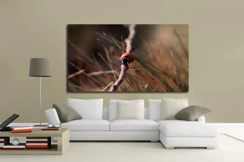 tableau-moderne-coccinelles-feuille