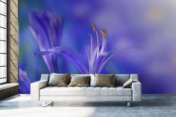 papier-peint-salon-fleurs-délicates-bleues