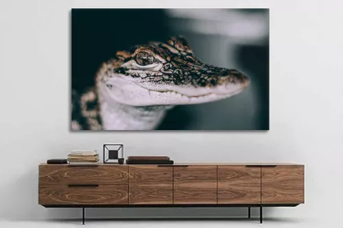 Tableau animaux Croco