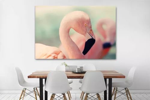 tableau-flamant-rose-du-chili