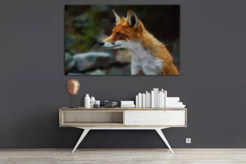 Tableau déco Renard
