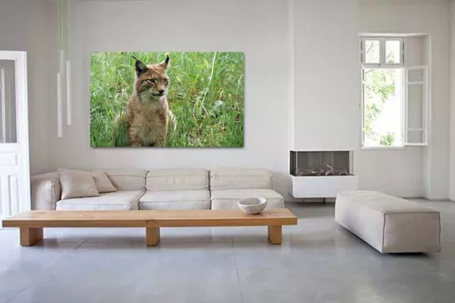Tableau Decoration Lynx