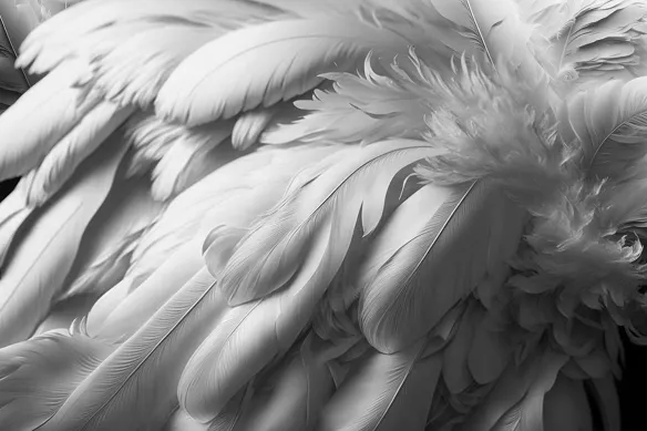 Toile design Plumes délicates