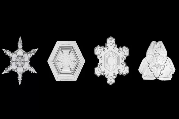 Flocons de Neige